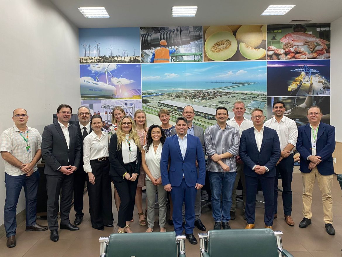 alemaes agronegócio, de energias renováveis e de tecnologia