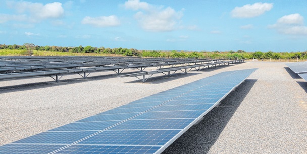 IMG_4691 Ceará fortalece parcerias com a China para impulsionar investimentos em energia limpa